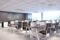 Thiết kế văn phòng Sun Feliza Suites